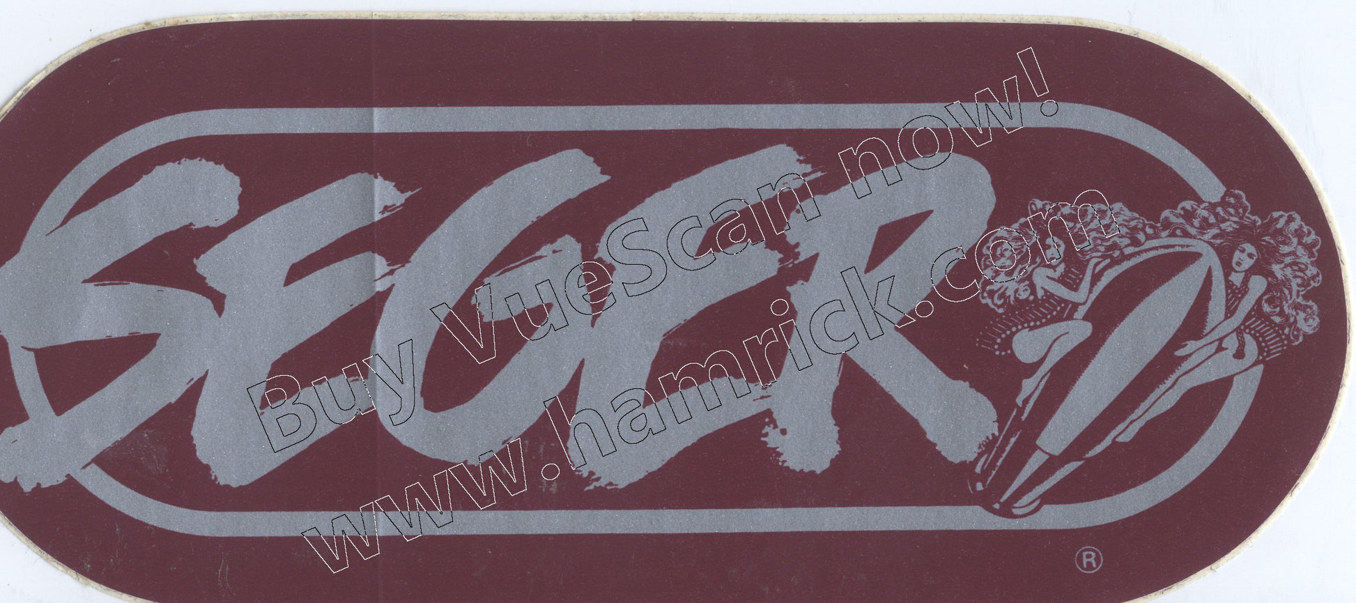 BOB SEGER wrif vintage sticker